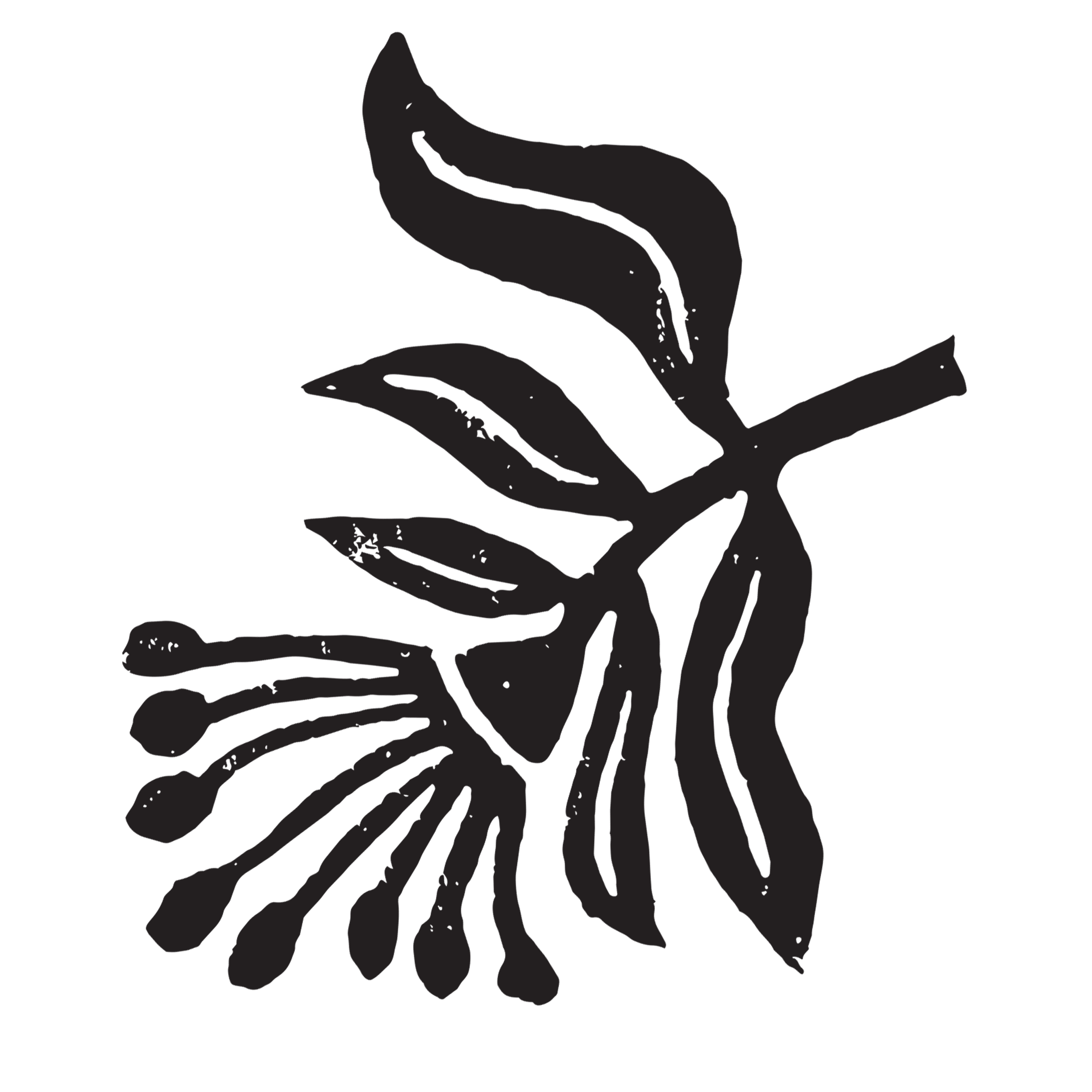 Black and white illustration of a rose with detailed petals and stem.