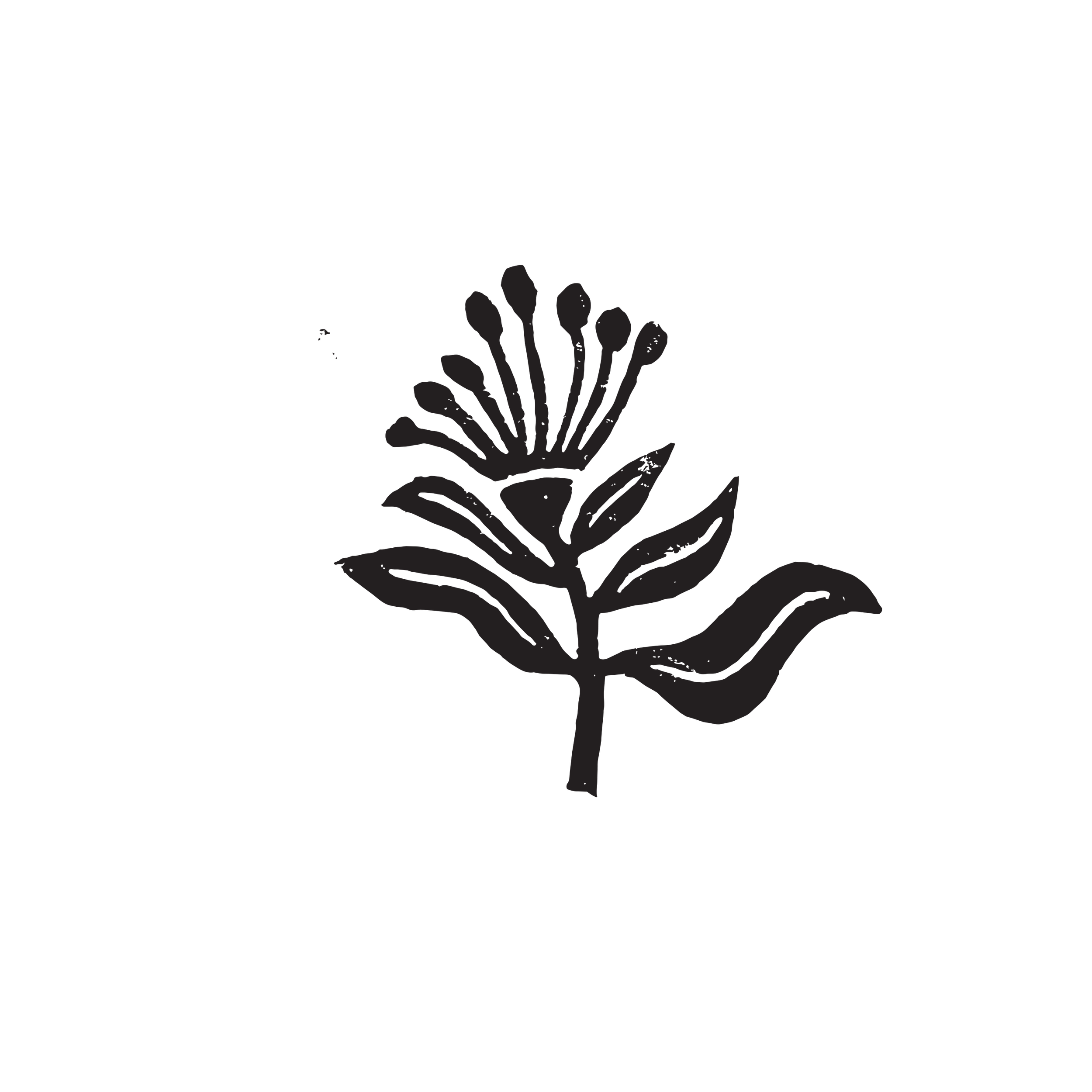 Black and white illustration of a flower with multiple small buds or petals rising from a central stem, with leaves lower on the stem.