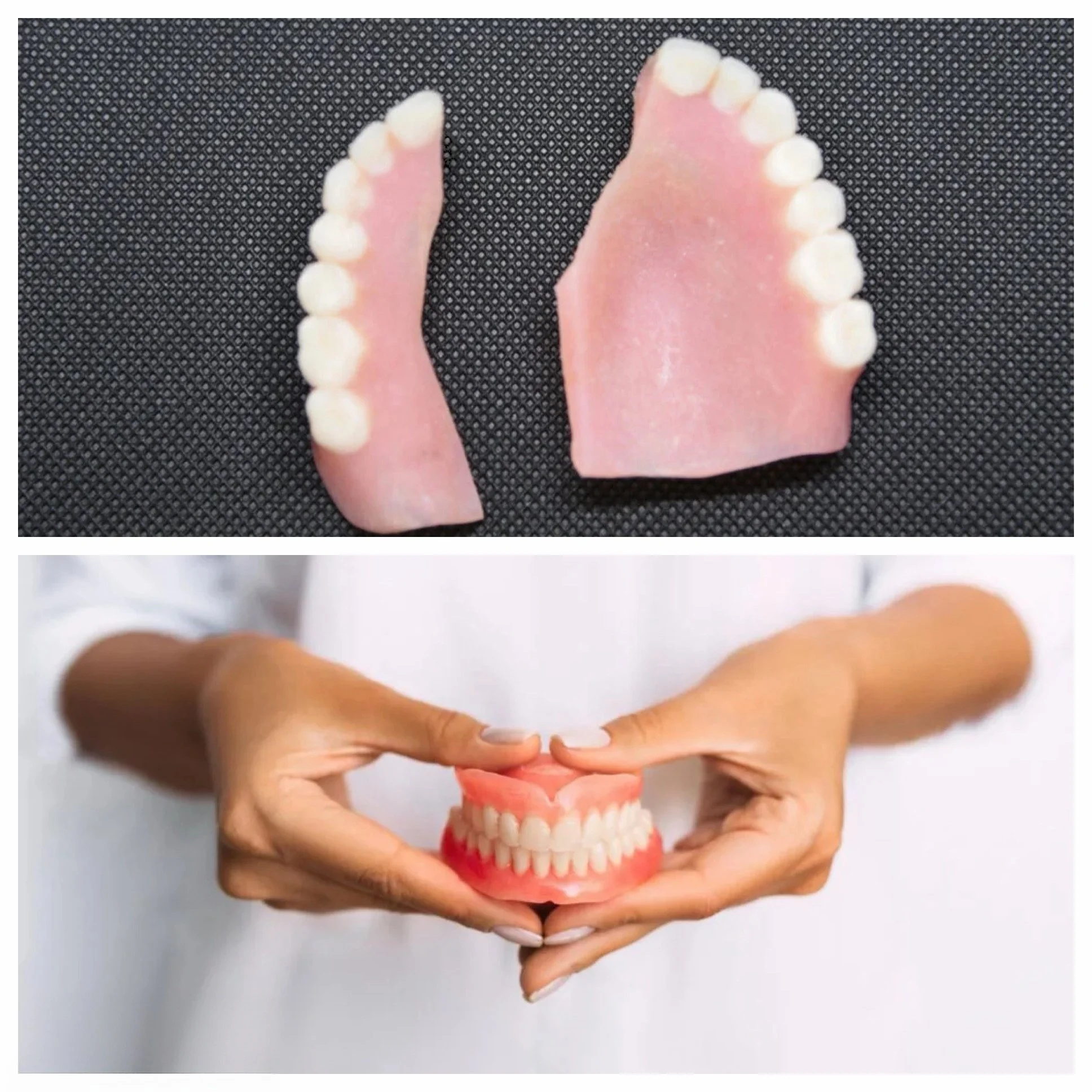 A person is holding a dental model of teeth and gums, with the teeth facing upward and the gums resting on the person's fingers.