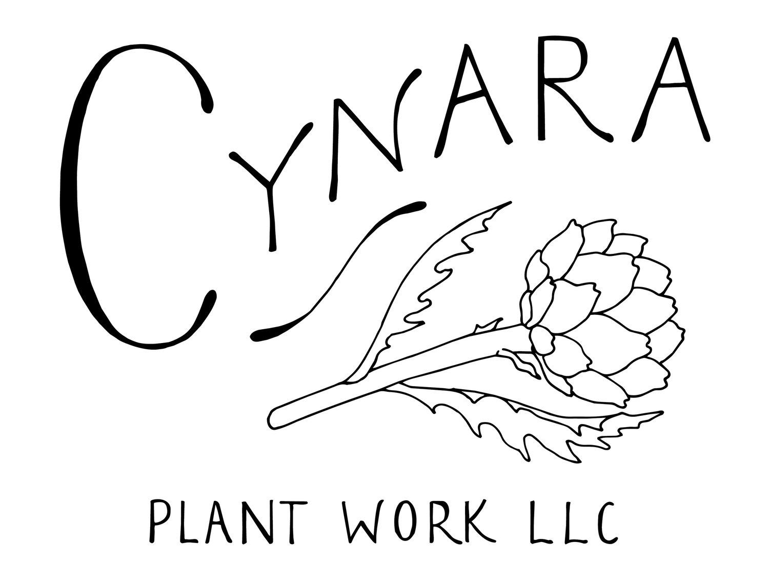 Cynara Plant Work