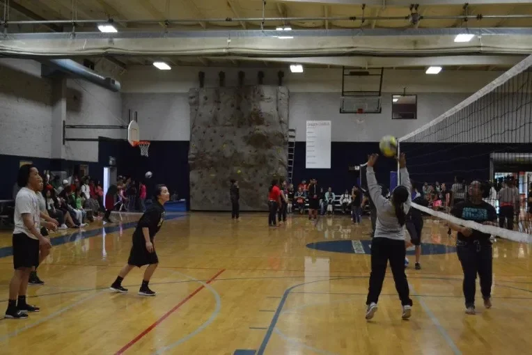 vollyball7.webp