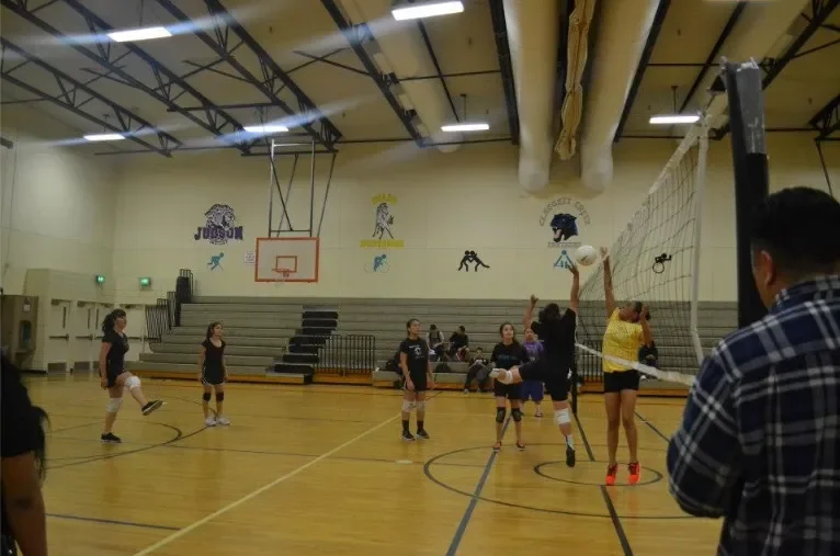 vollyball23.webp
