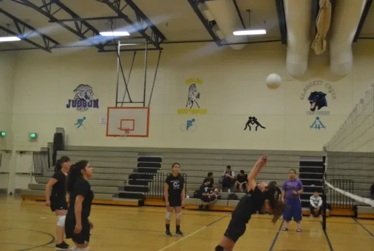 basketball22.webp