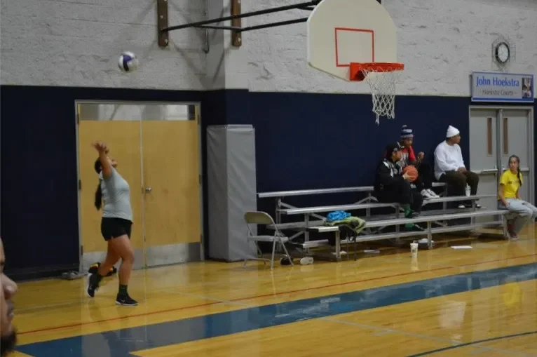 vollyball5.webp