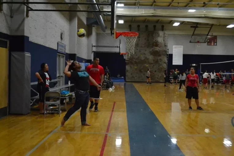 vollyball4.webp