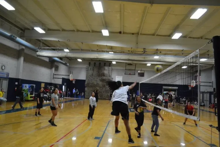 vollyball6.webp