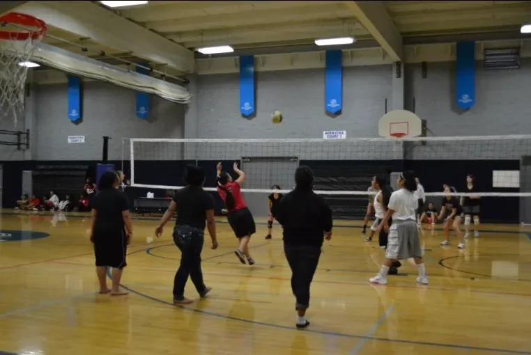 vollyball3.webp