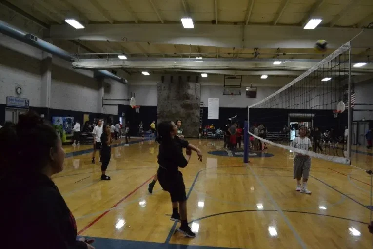 vollyball8.webp