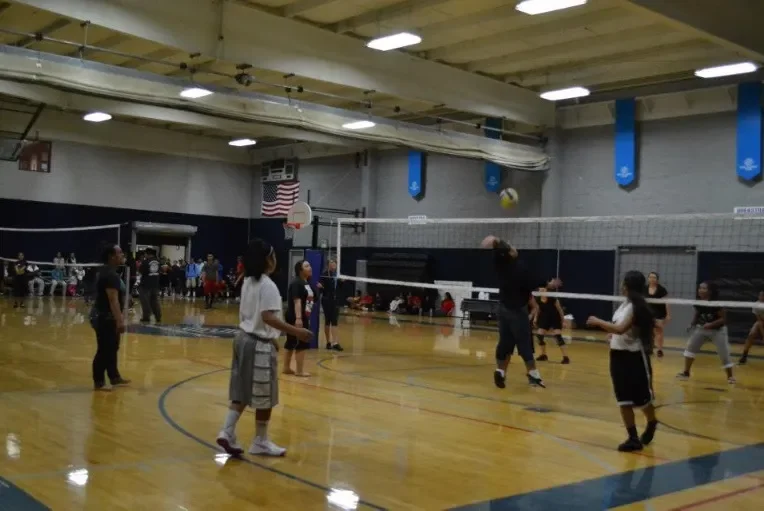 vollyball1.webp