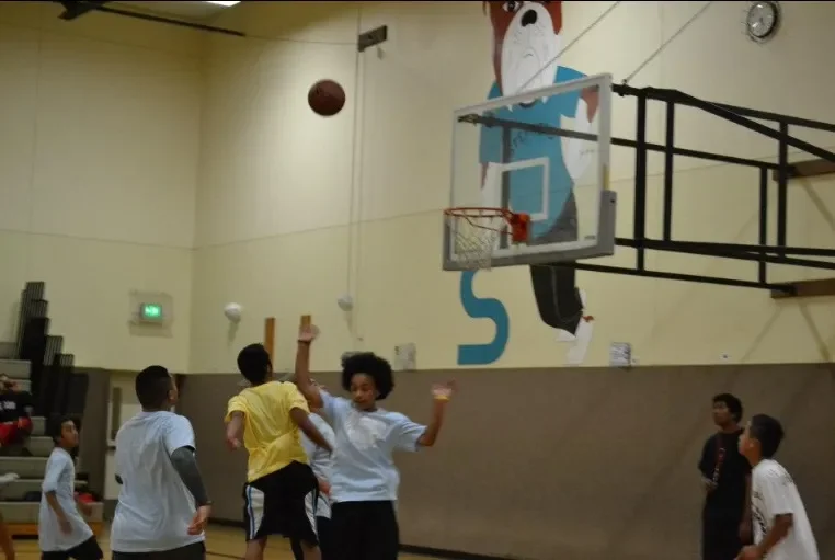 basketball13.webp