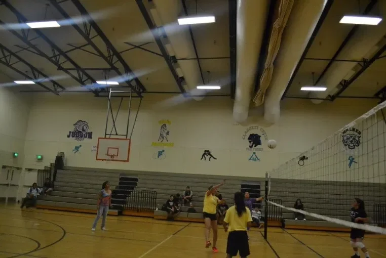 vollyball24.webp