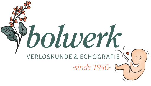 Bolwerk verloskunde Haarlem
