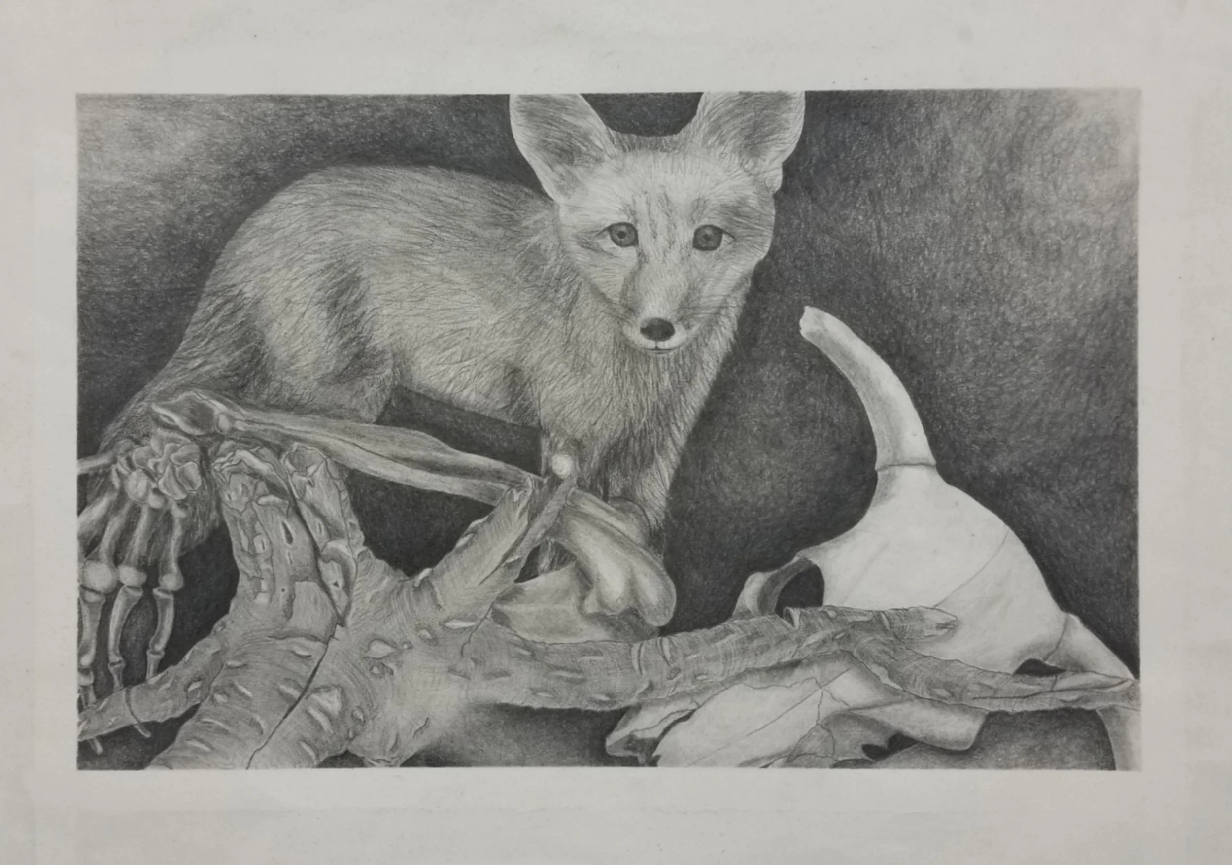 drawing-4.jpg