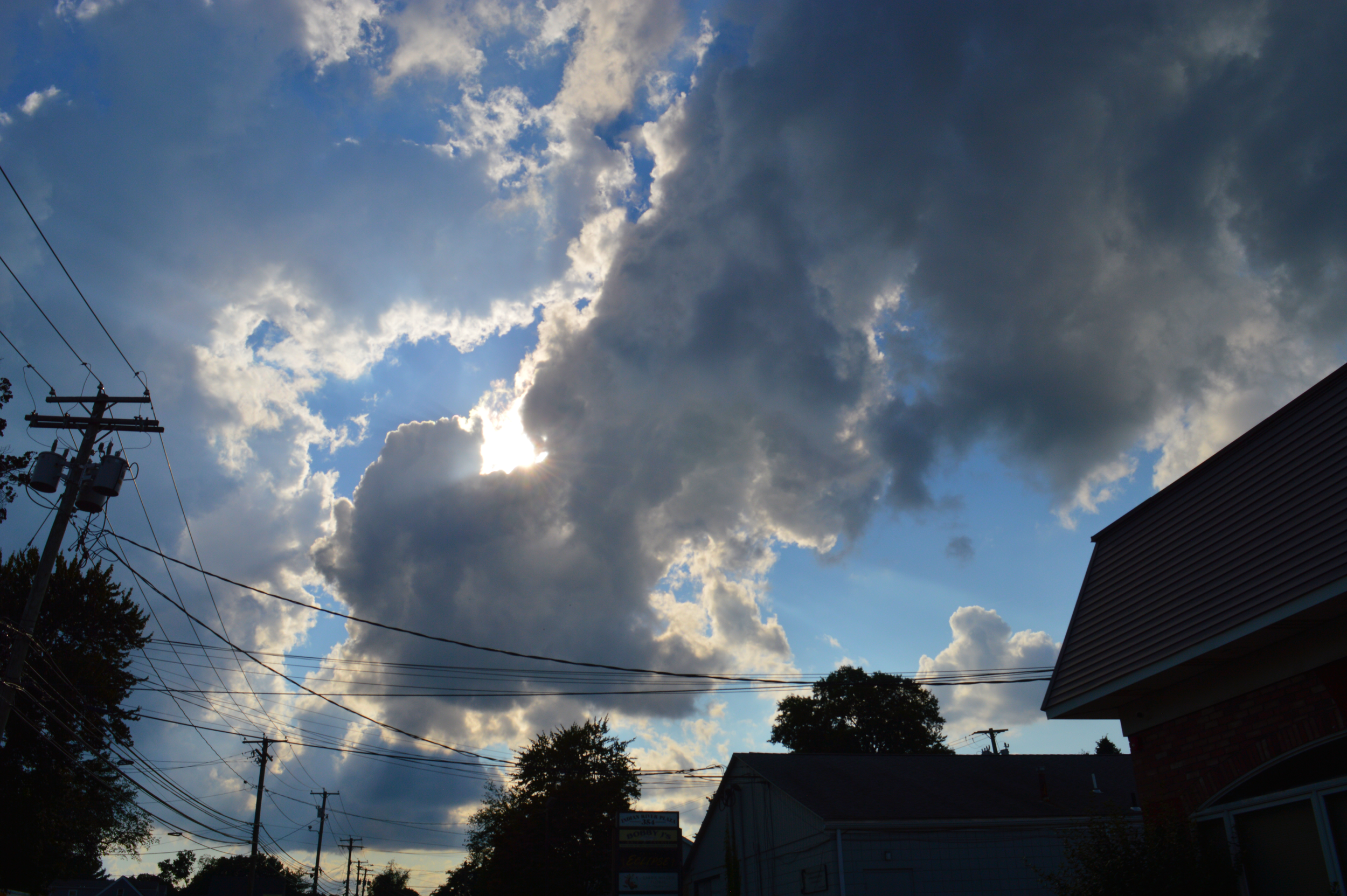 0831 (1)(2).png