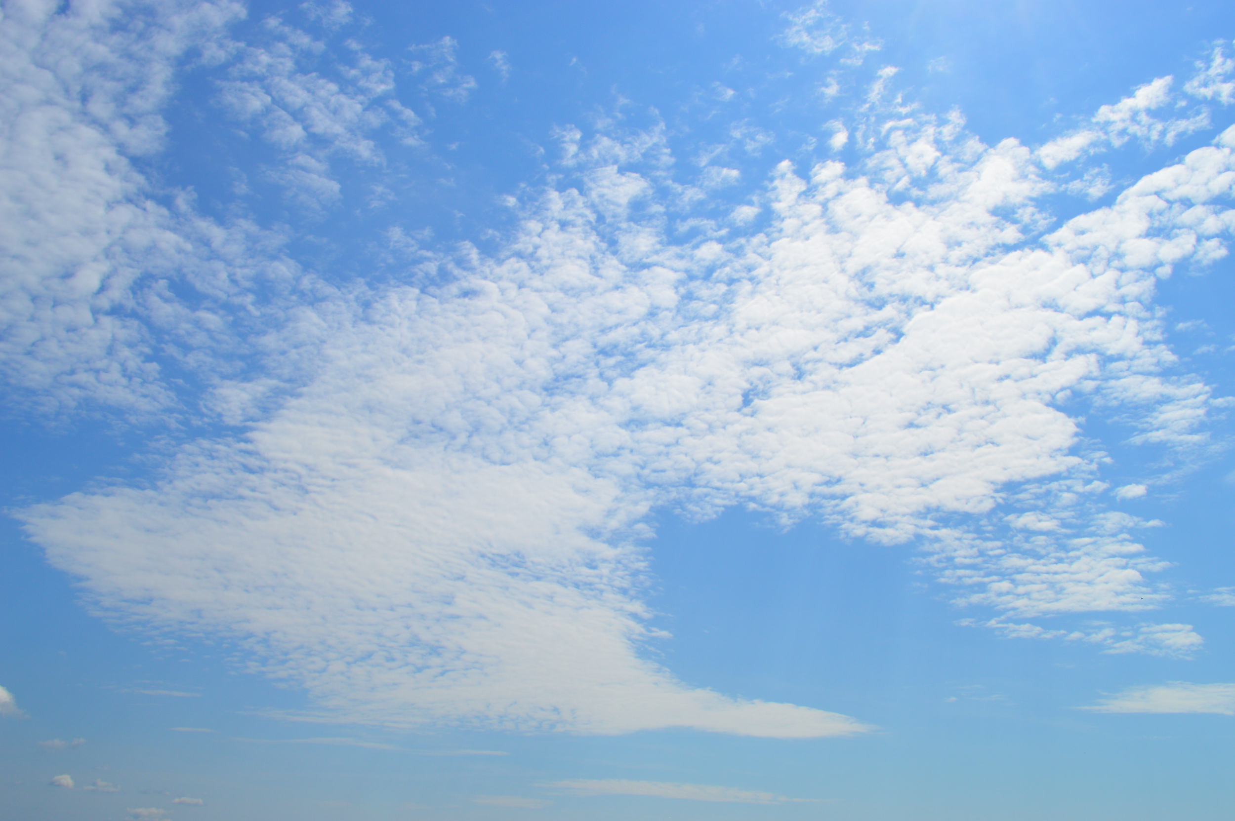 0831 (1)(3).png