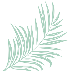 A light green palm leaf with multiple fronds on a white background.