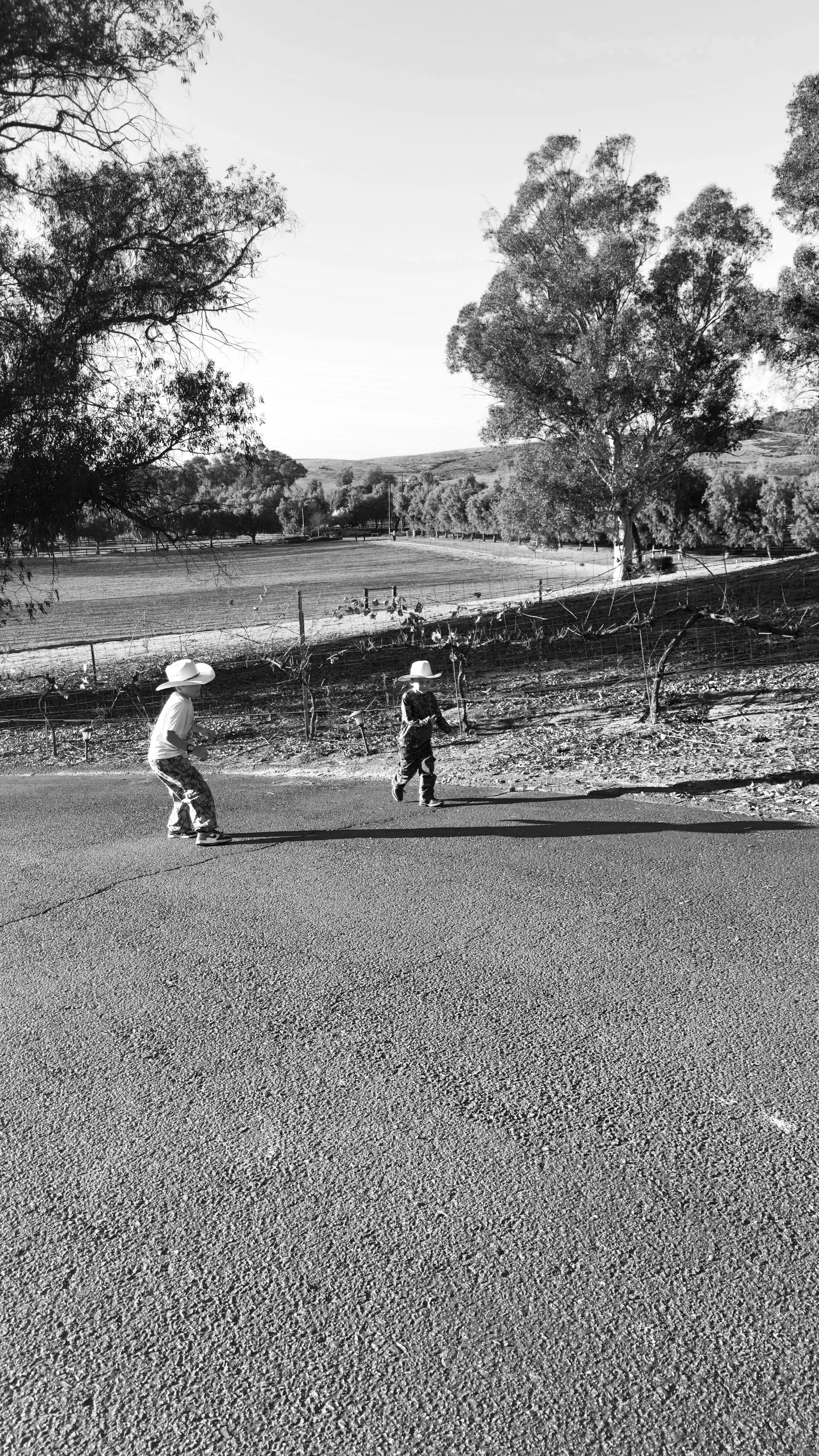 boys playing on their family farm