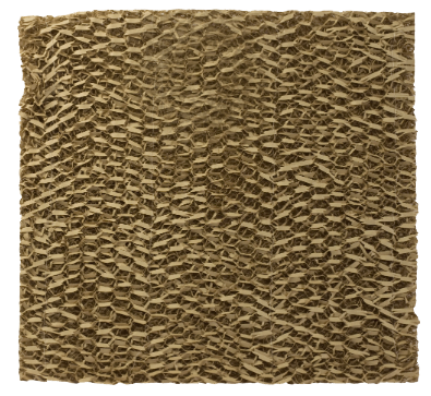 Close-up of sandy textured surface with small, wave-like patterns.