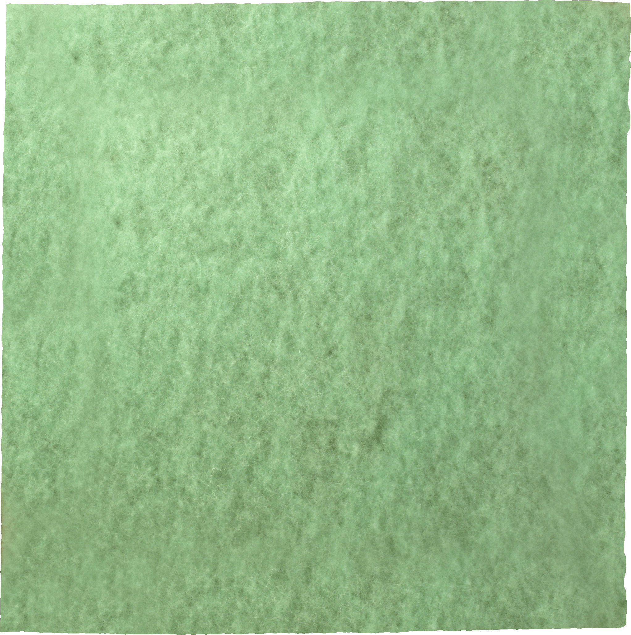Green textured paper background with a watercolor-like appearance.