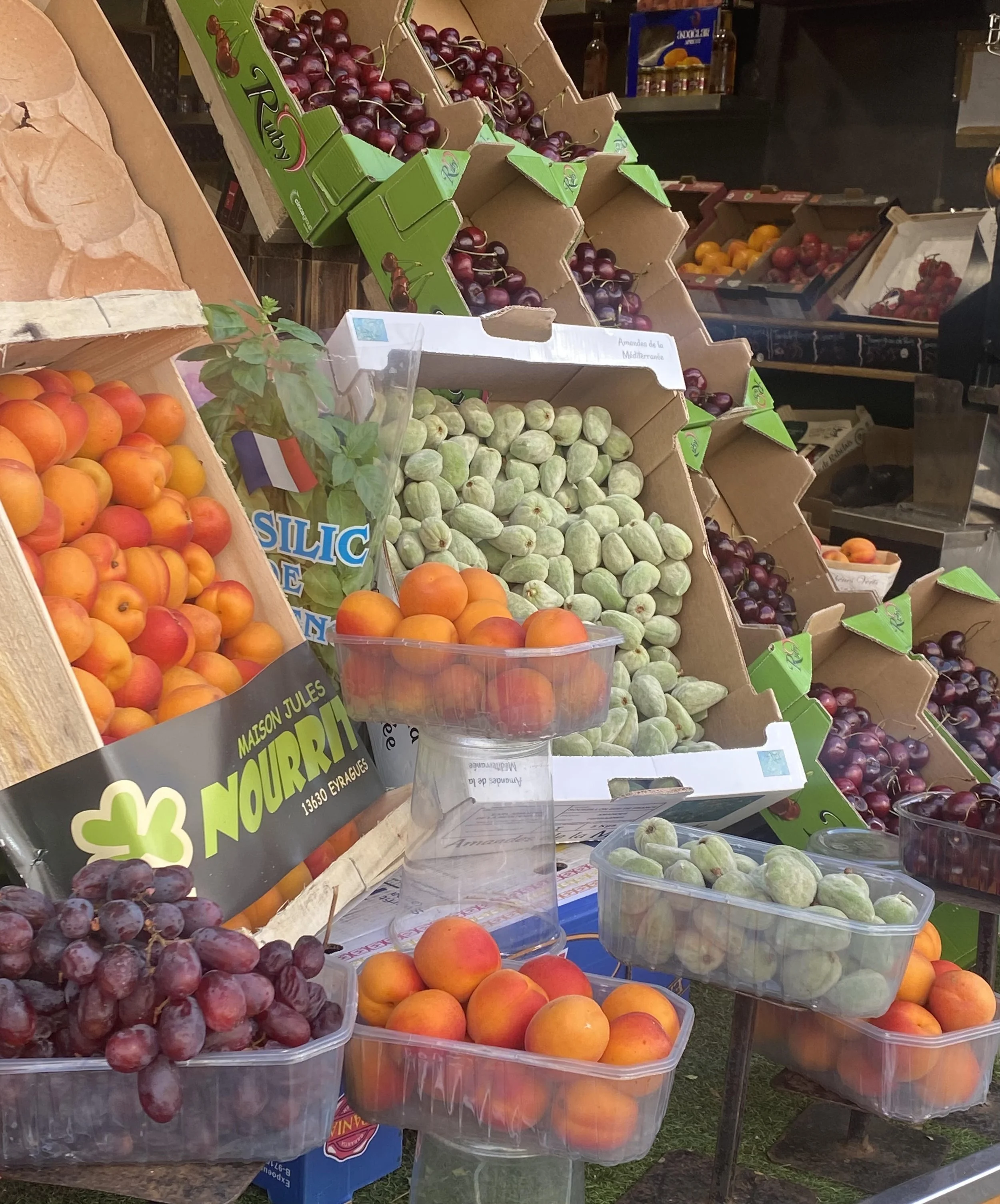 Seasonal Market Tour and Cooking Class