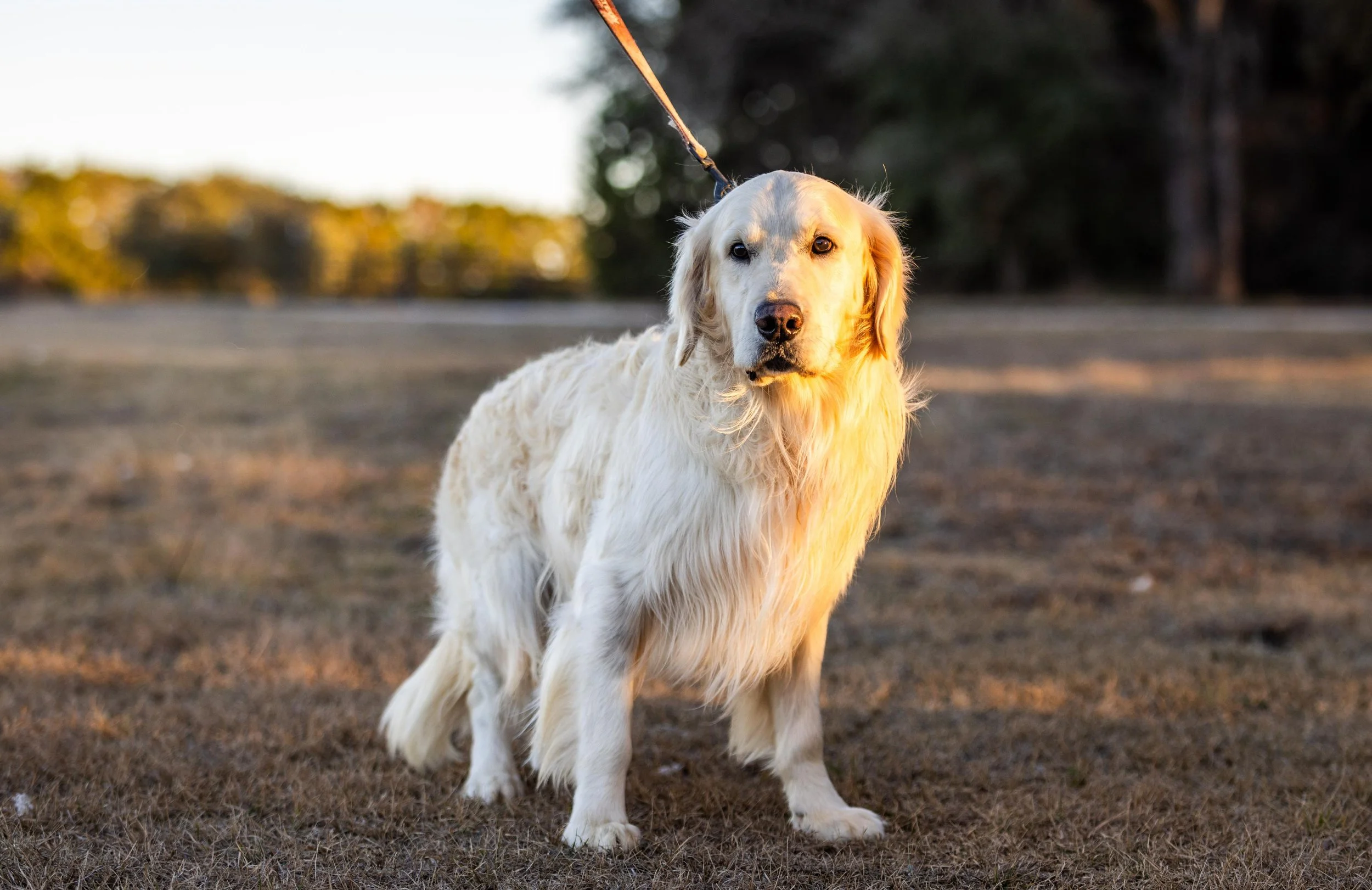 ro9xts8kl76255u765a6kp21lwb4.jpeg