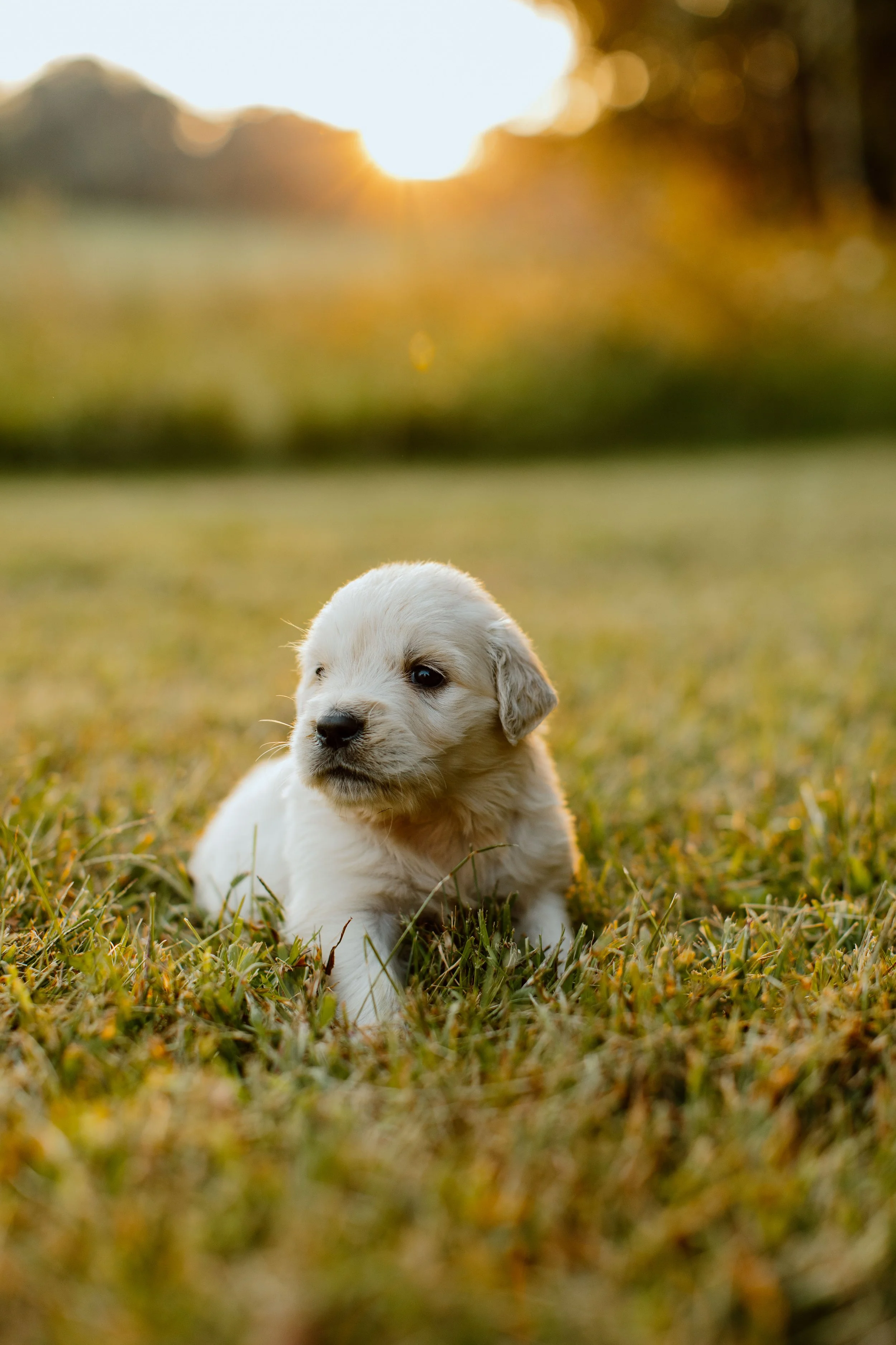 Boy 2