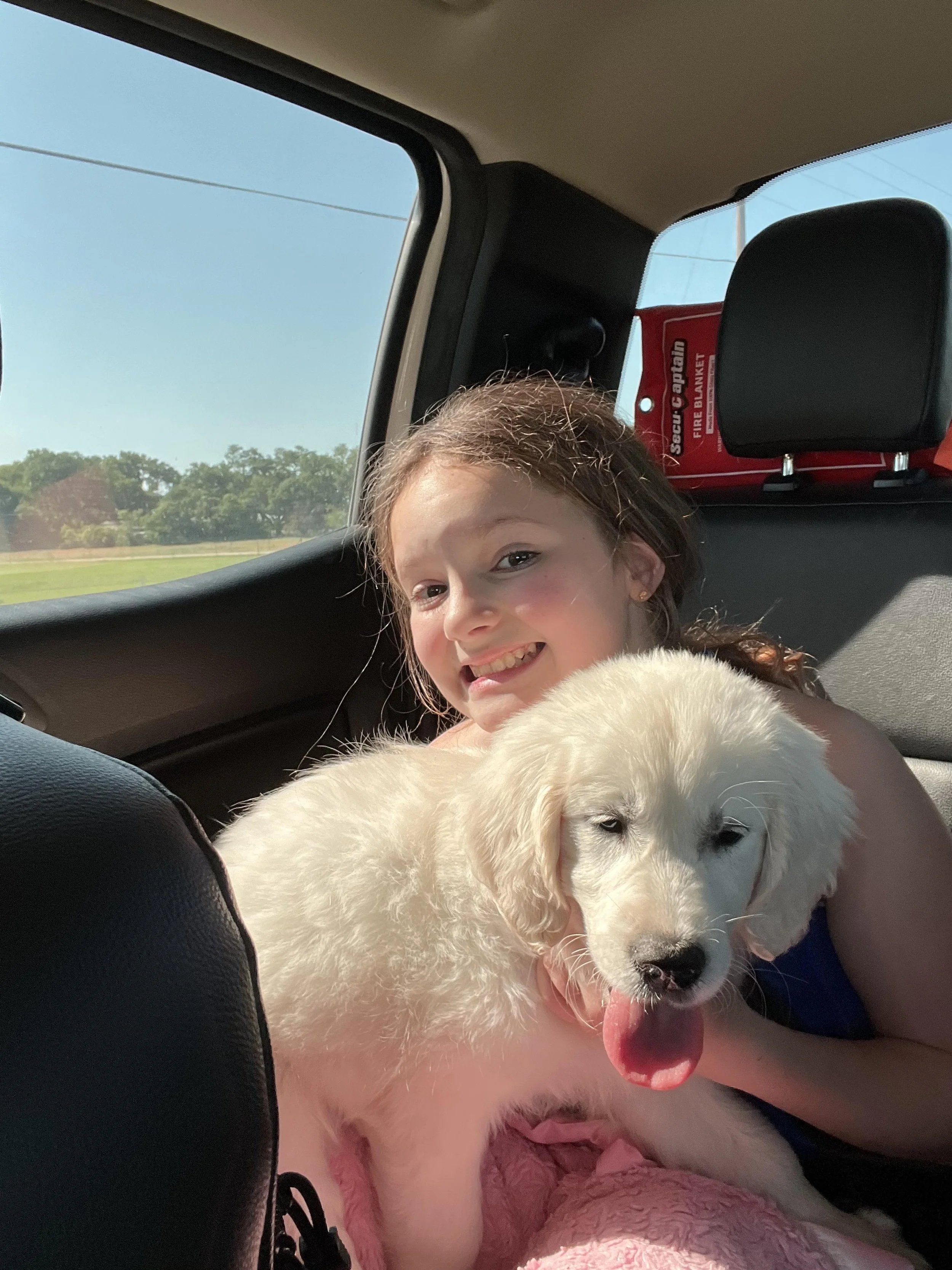 A young girl with brown hair smiling and holding a large white puppy with a pink tongue inside a vehicle, with a red fire blanket in the background and the outdoors visible through the window.