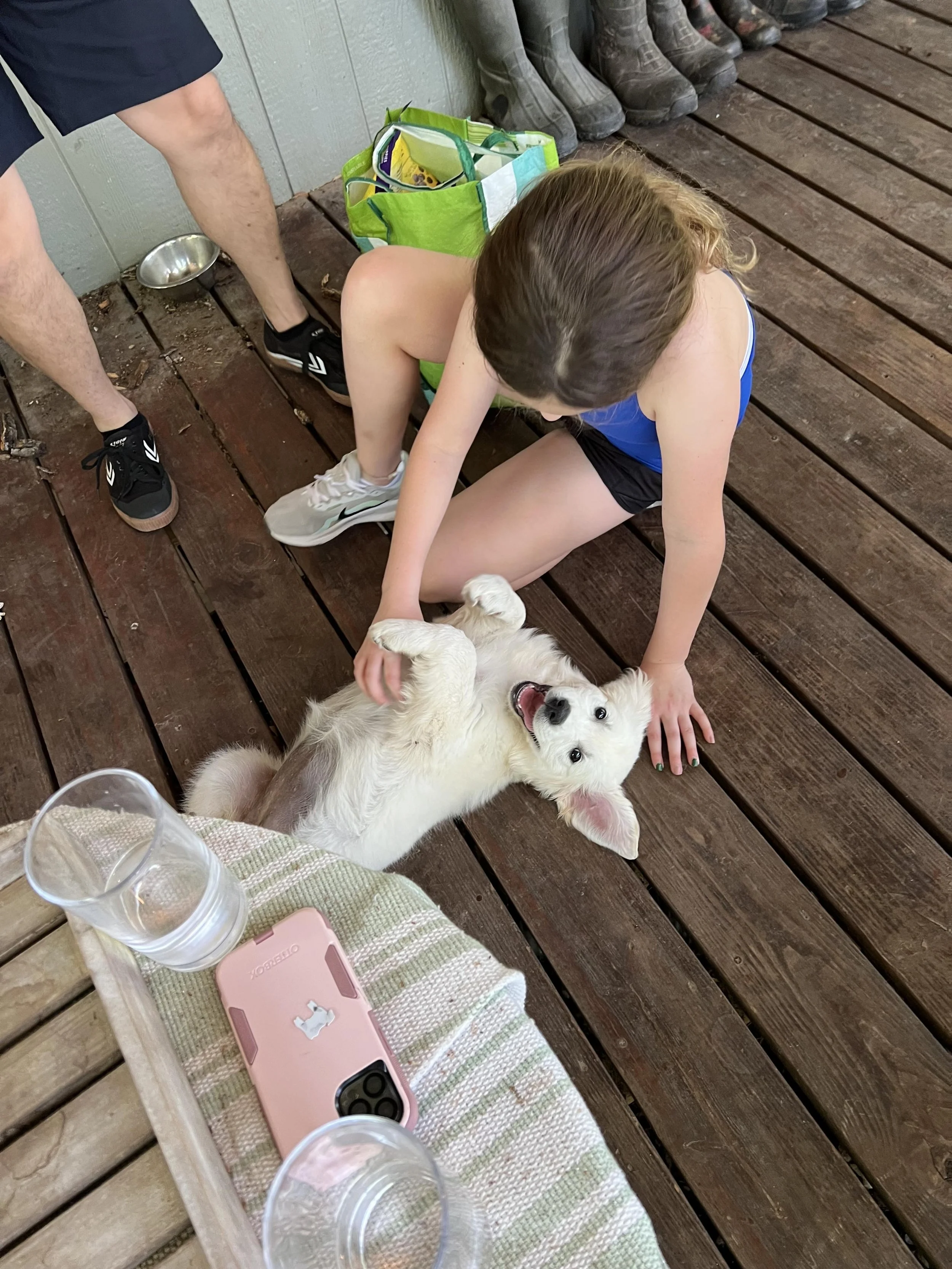 A young girl in a blue tank top and black shorts laying on wooden floorboards, petting a golden retriever puppy lying on its back. There is a green basket filled with items, an empty metal bowl, a transparent plastic cup, and a pink phone case on a t