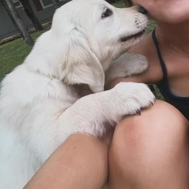A puppy and a person close together, with the puppy looking at the person's face