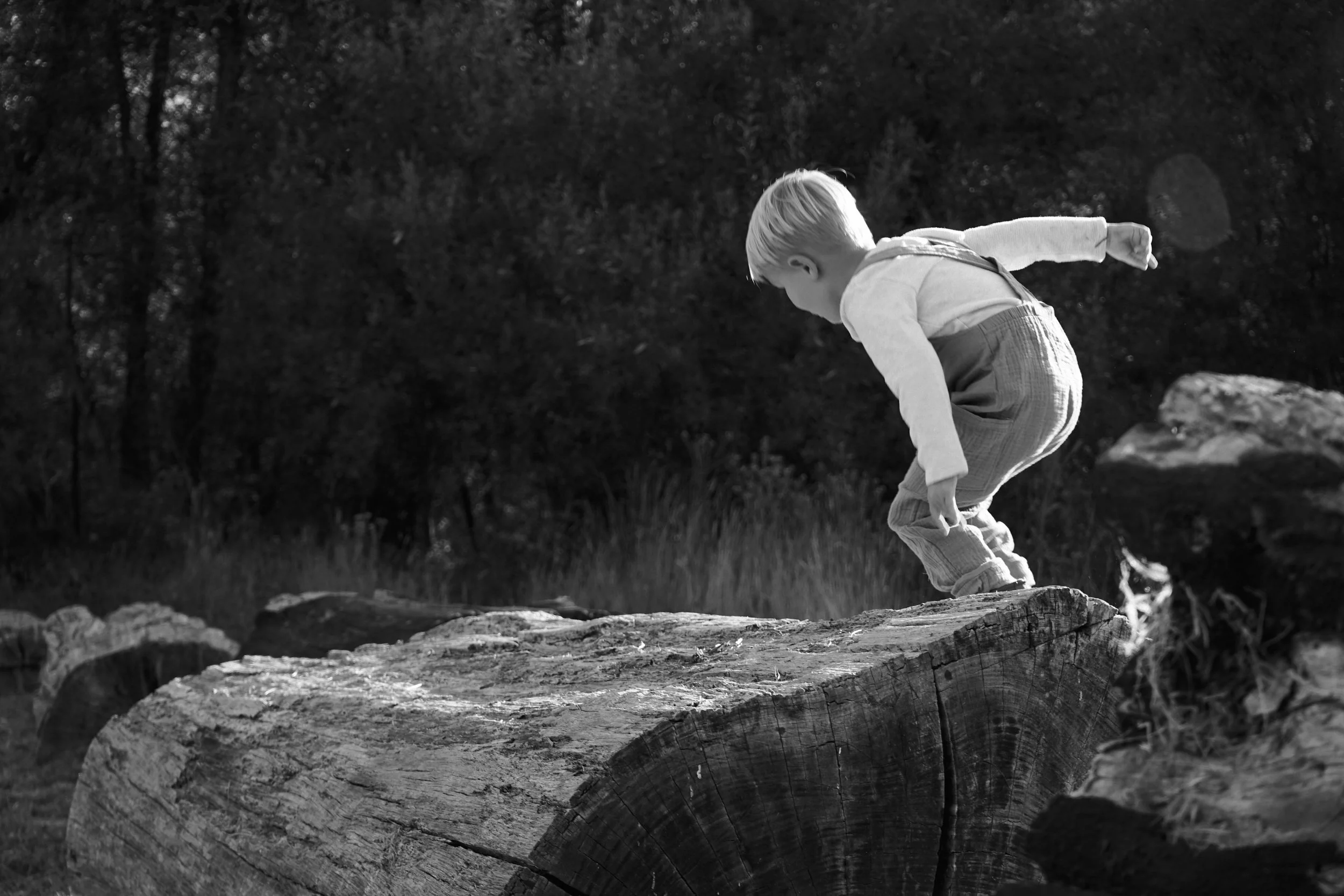 PHLOW_PHOTO_20240928_1005_0001 3.JPEG