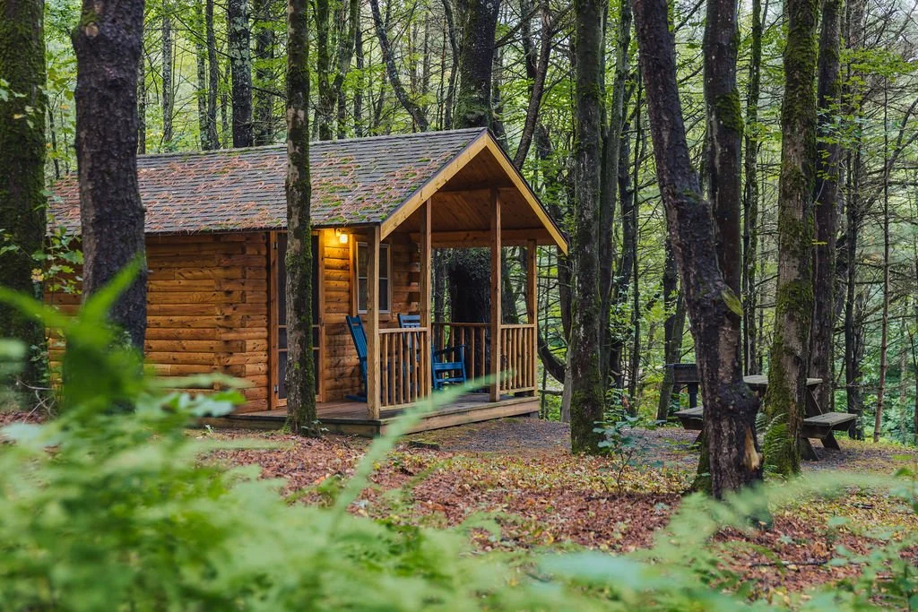 Exterior of rustic cabin with wood-paneled walls