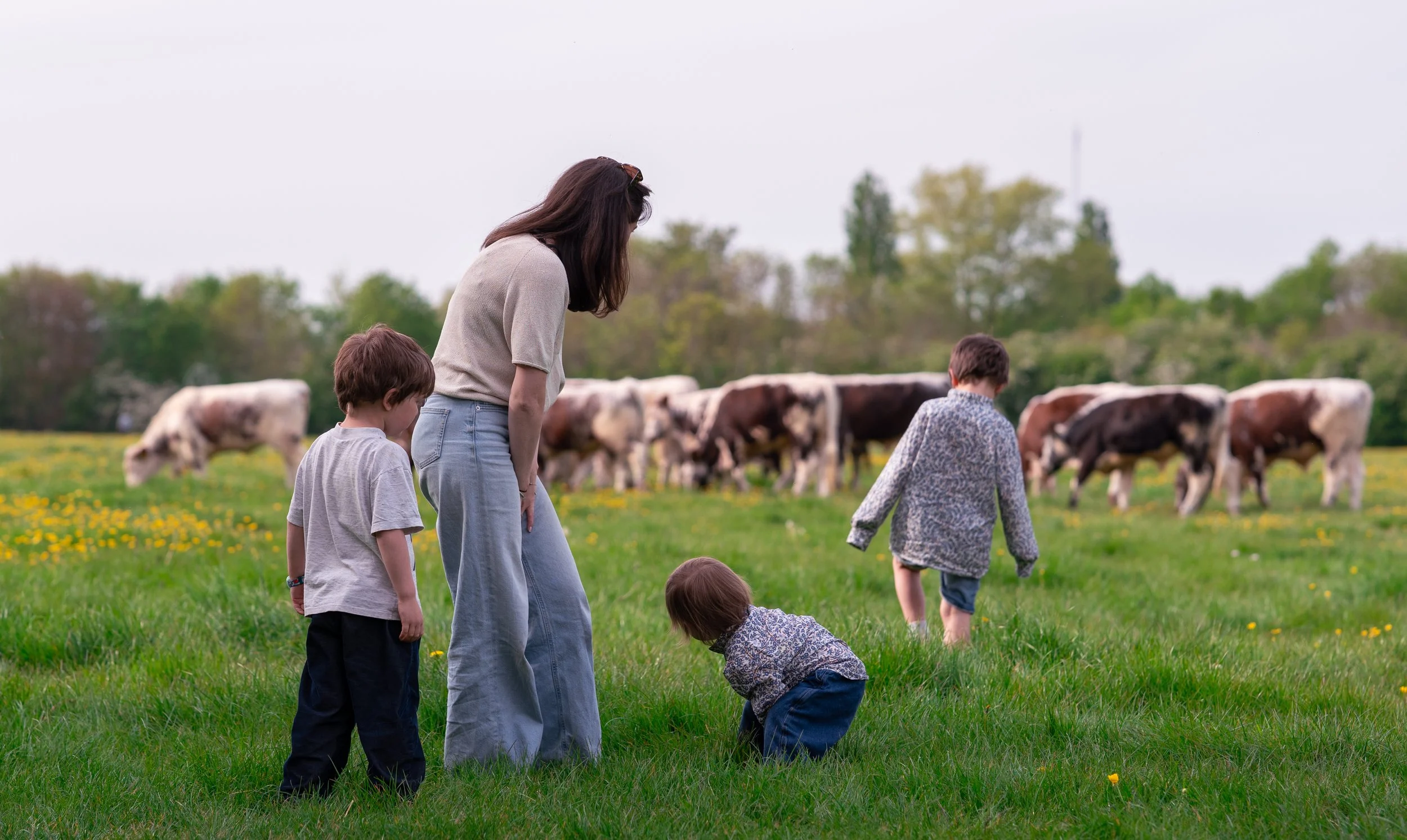 A woman and five children playing on a grassy field with cows in the background on a cloudy day.