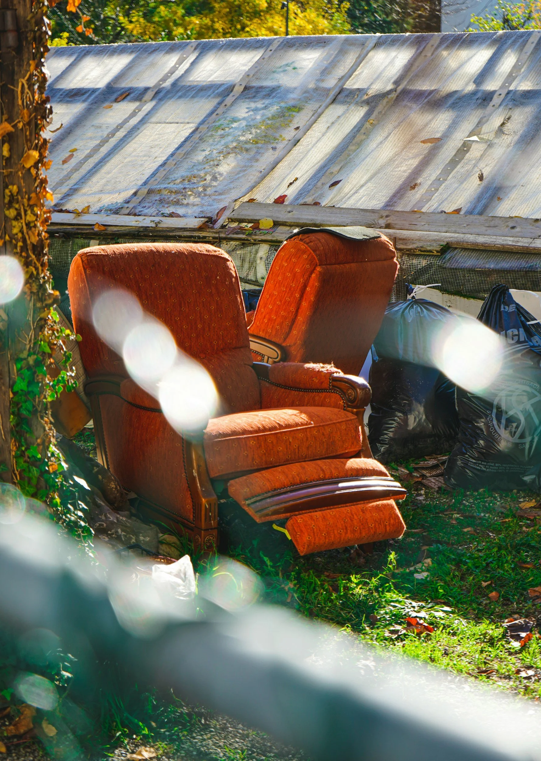 Old, abandoned red upholstered armchair outside among overgrown grass and fallen leaves, with a weathered translucent plastic roof and trees in the background.