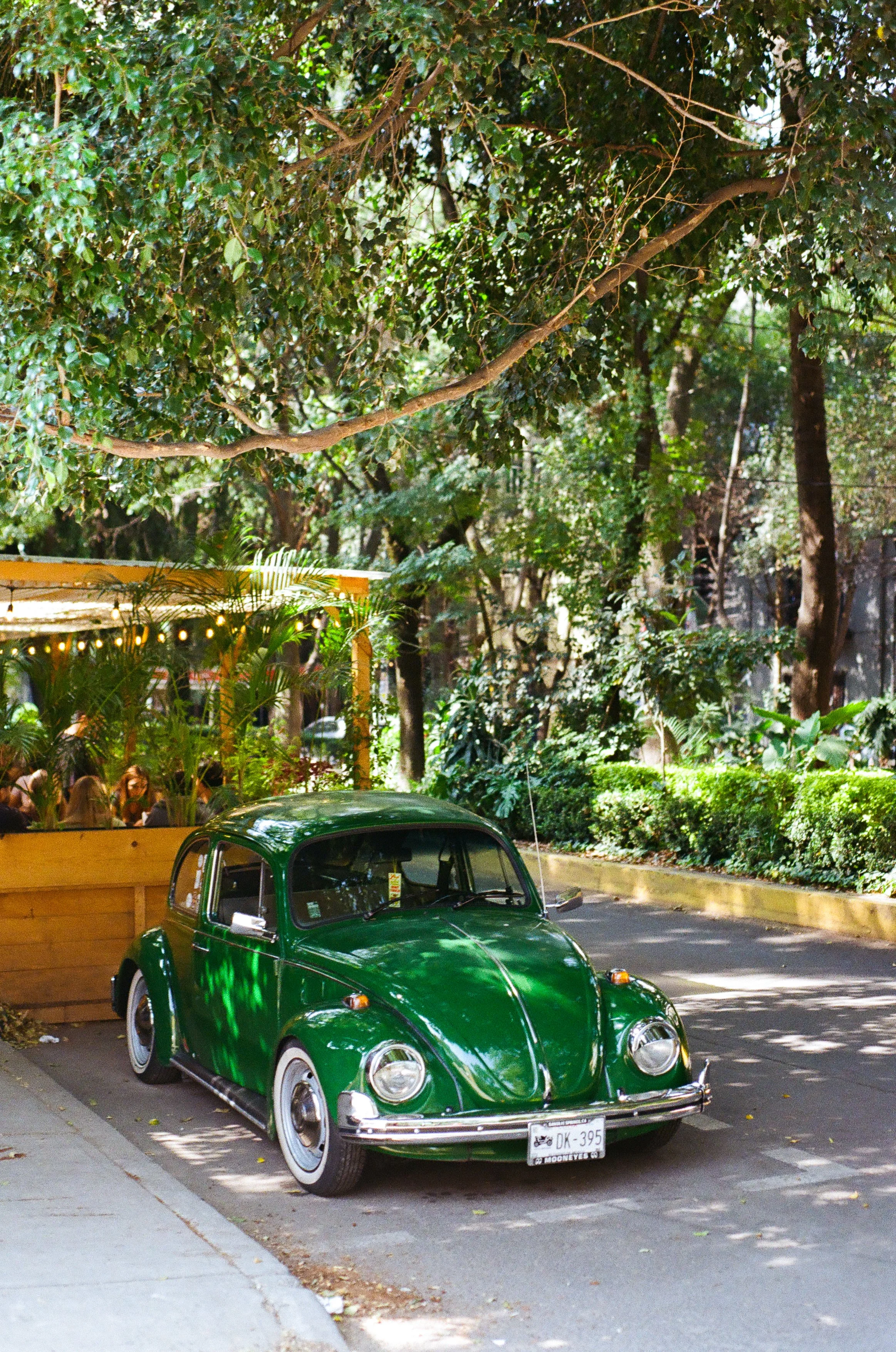 A vintage green Volkswagen Beetle parked on a street next to a sidewalk, with lush green trees and plants in the background, during daytime.