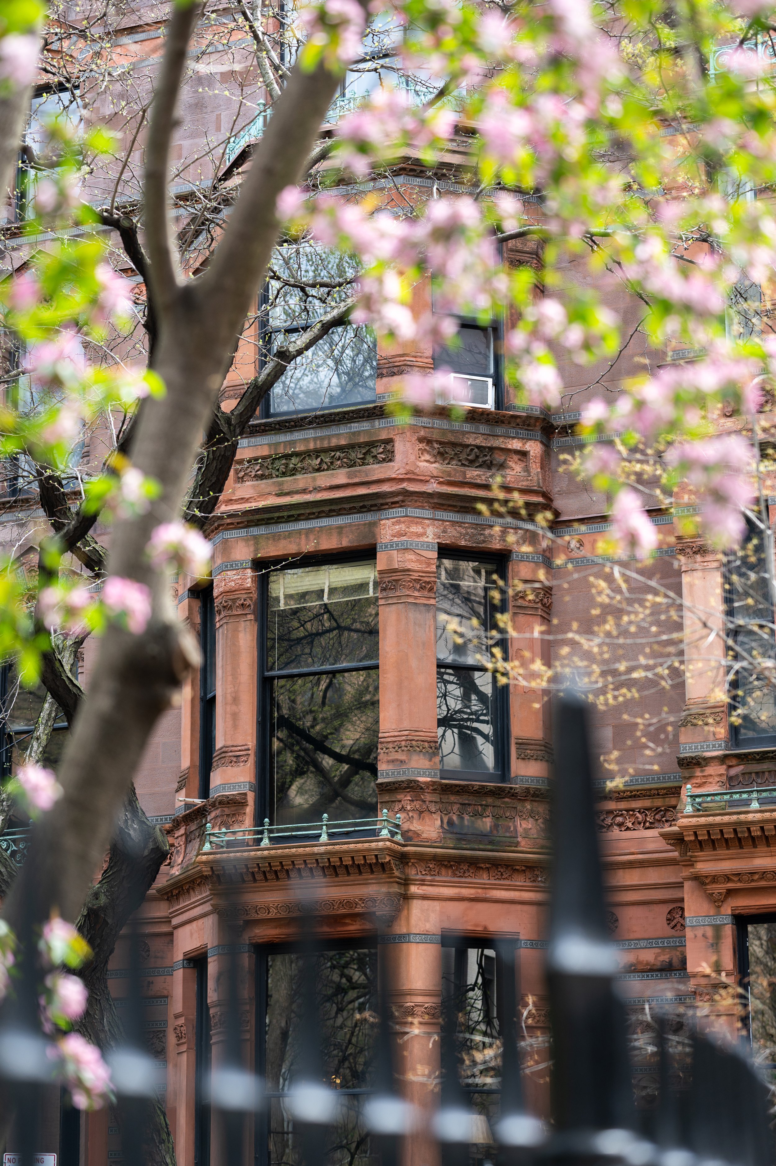 A photo of a reddish-brown Victorian-style building with ornate architectural details, partially obscured by trees with pink blossoms and a black fence in the foreground.