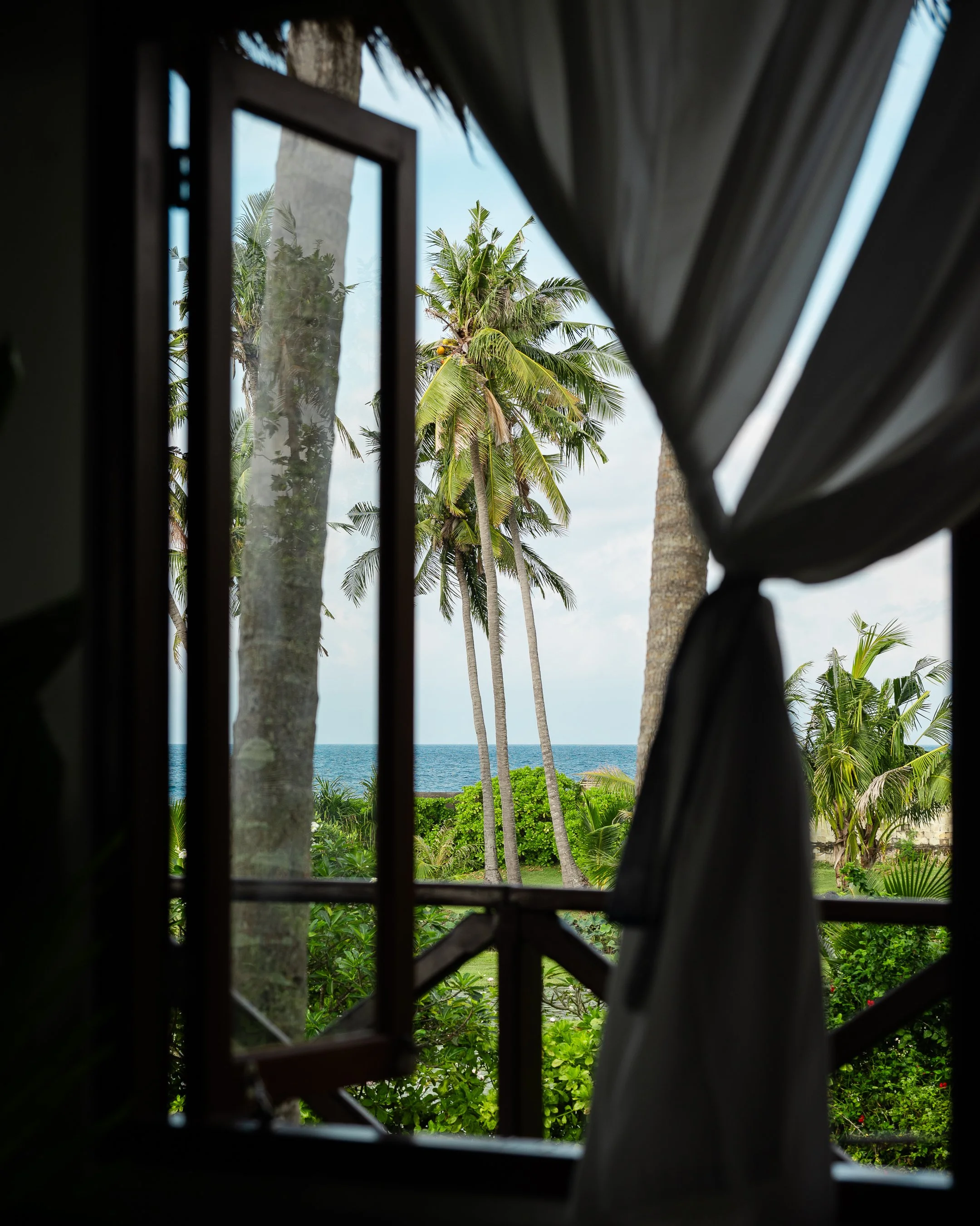 A view of a tropical landscape with palm trees, greenery, and the ocean visible in the background, seen through a window with wooden bars and partly covered by curtains.