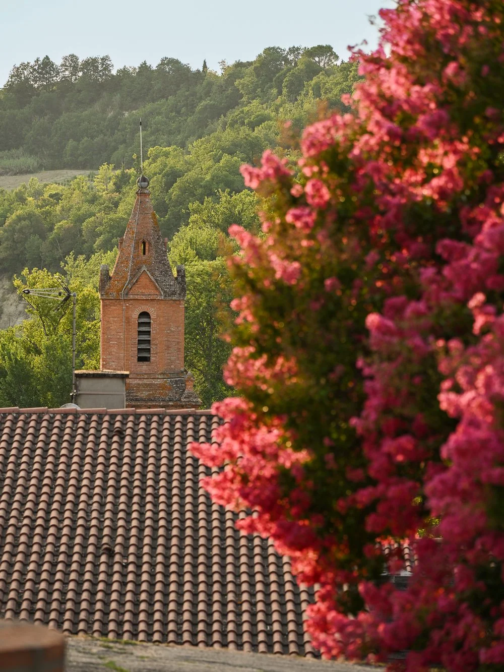 A view of a brick church steeple with a tiled roof in a green hilly landscape, partially obscured by pink flowering tree in the foreground.