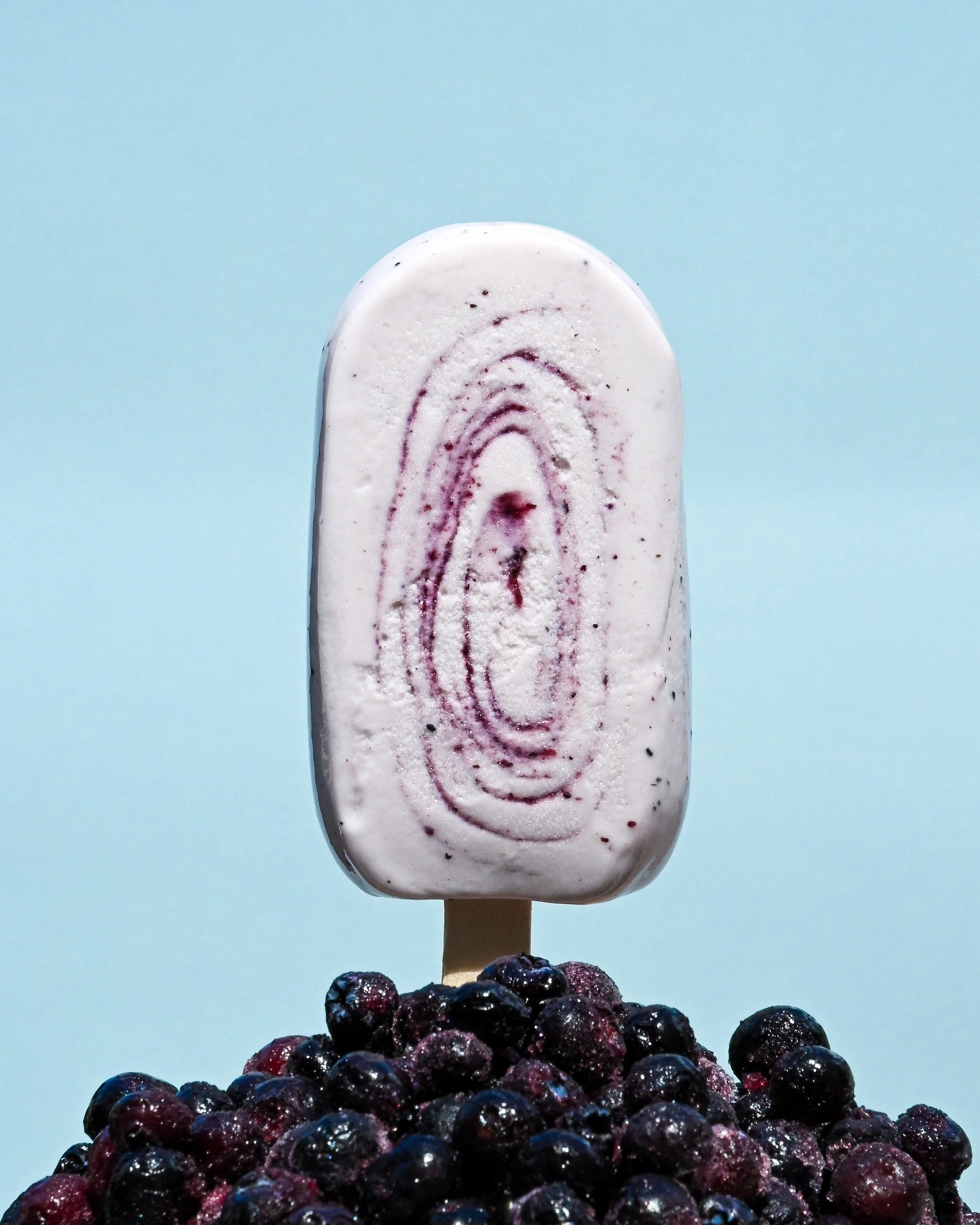 A blueberry popsicle with a swirl pattern, topped with fresh blueberries and a wooden stick, against a blue background.