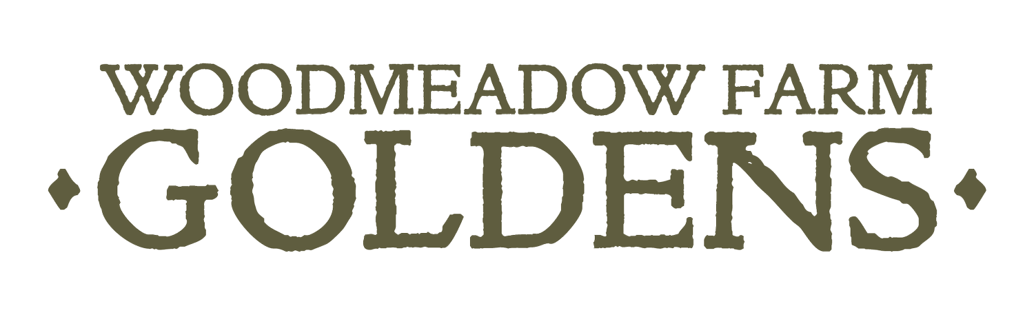 Woodmeadow Farm Goldens