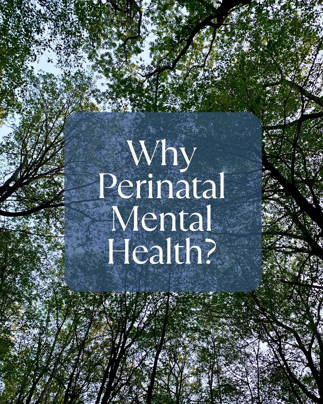 Why Perinatal Mental Health?

🧠Because parenthood transforms your brain, not just your body. Did you know that your brain changes more in pregnancy and postpartum than at any other time in your life? It can feel like a shock to the system. 

🤱Becau