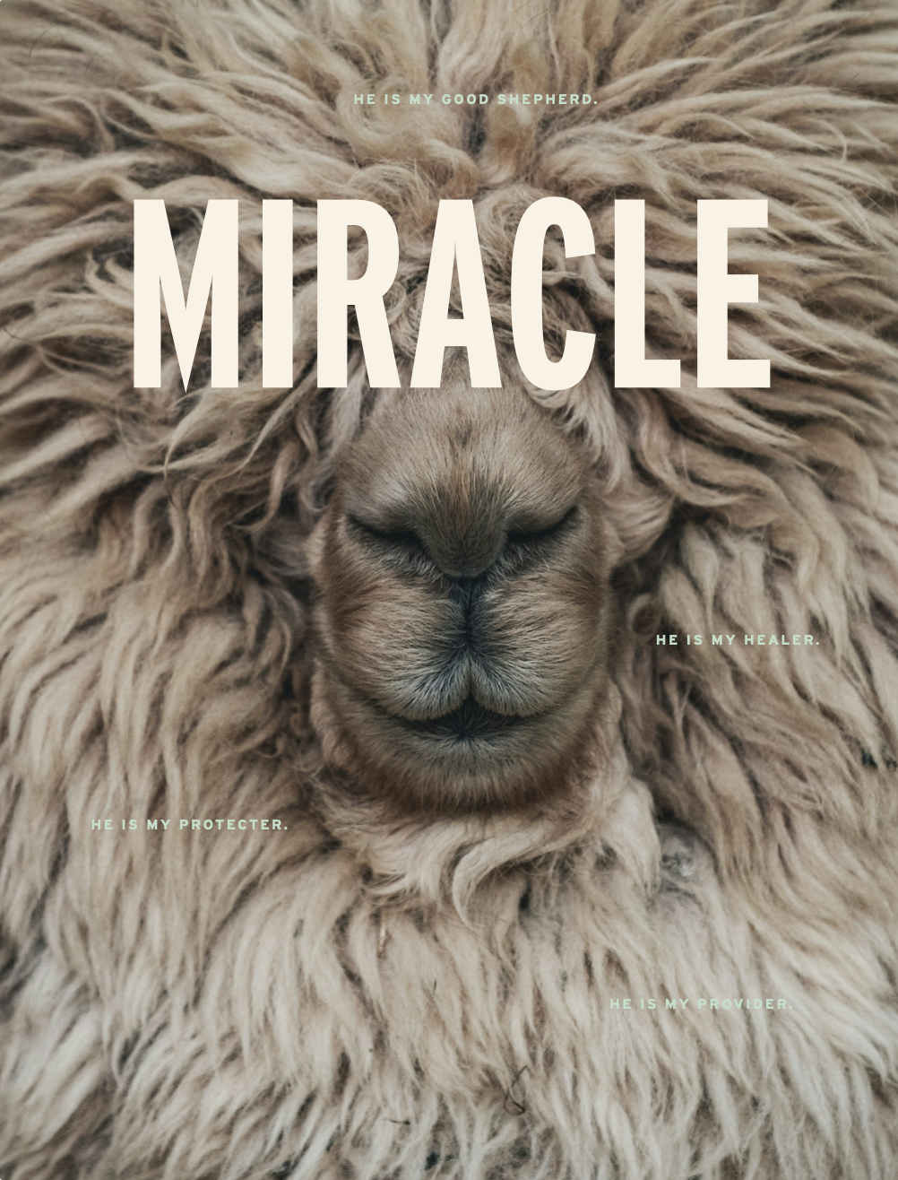 Magazine