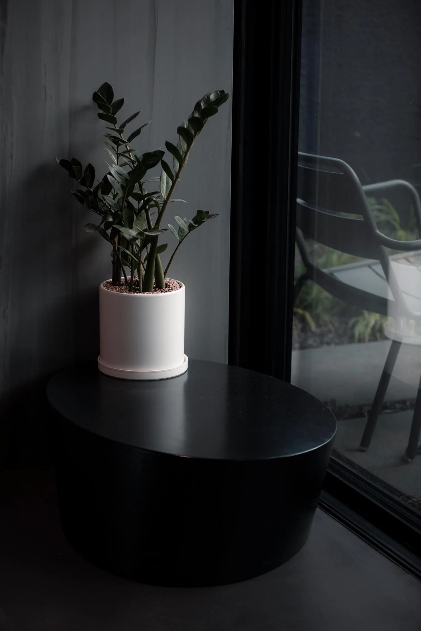 A potted plant with dark green leaves on a black side table near a window, with black chairs and a table visible outside.
