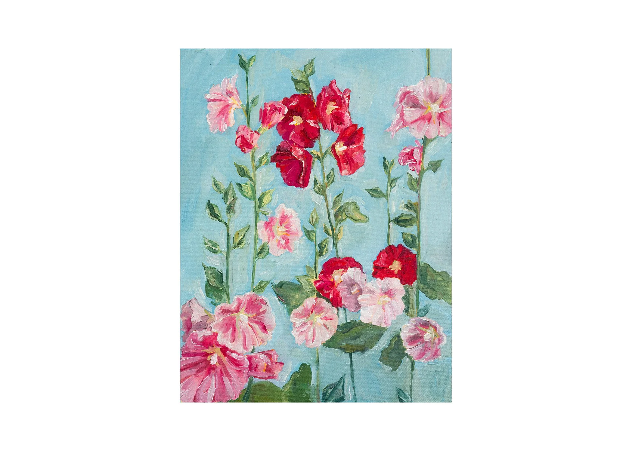 Pinkhollyhocks.jpg
