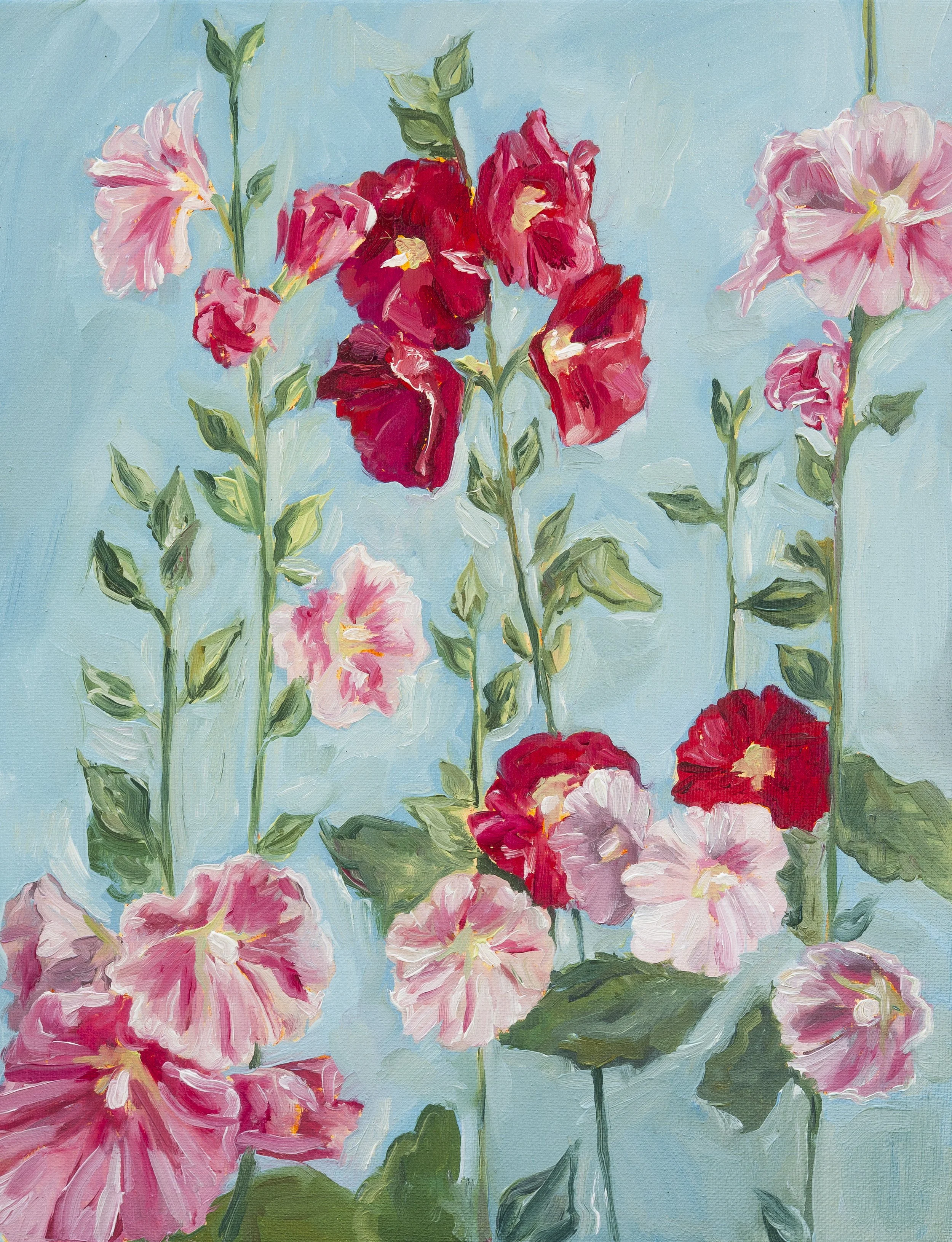 Pink Hollyhocks 2026