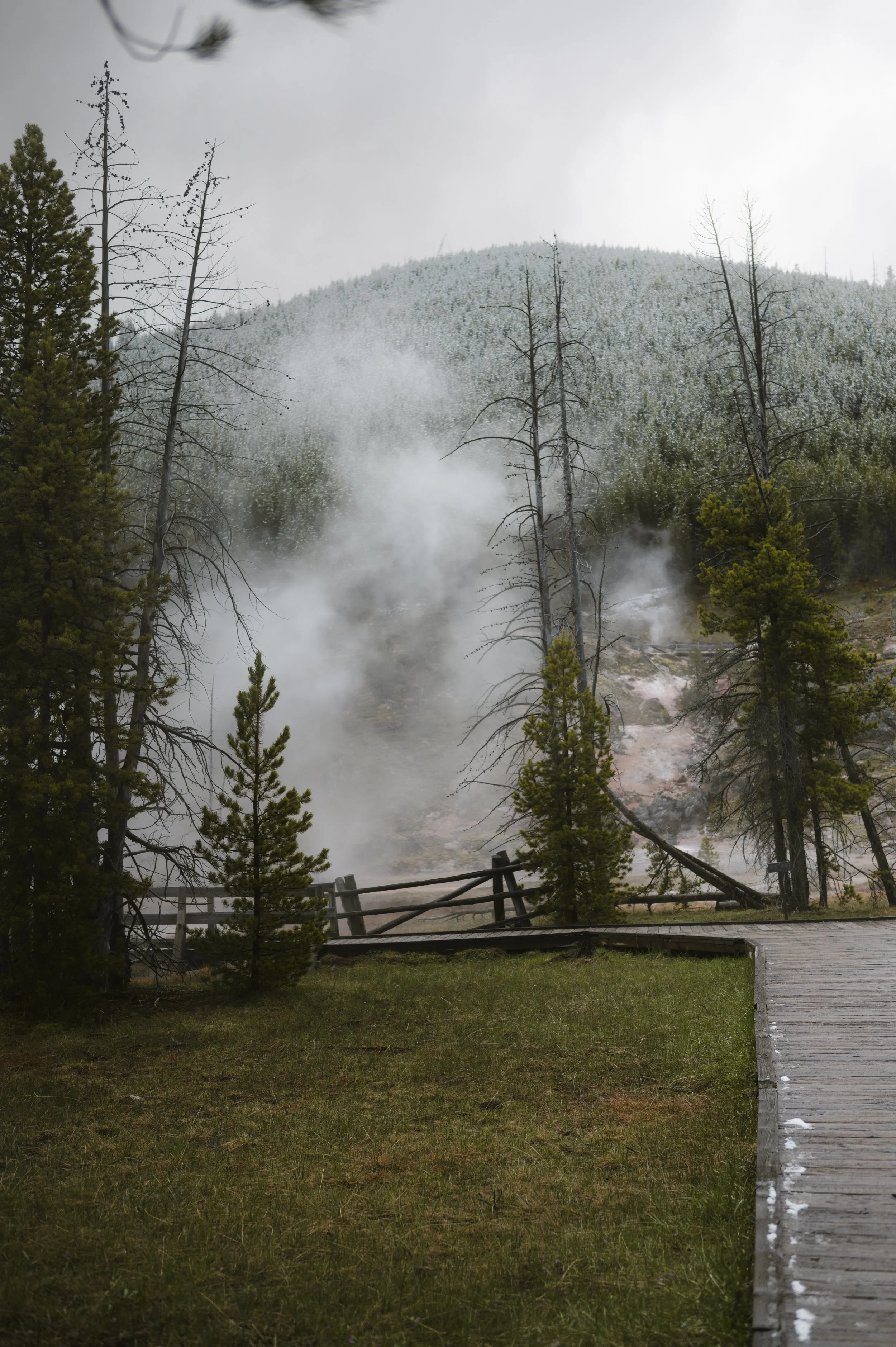 Hazy Hot Springs 2026