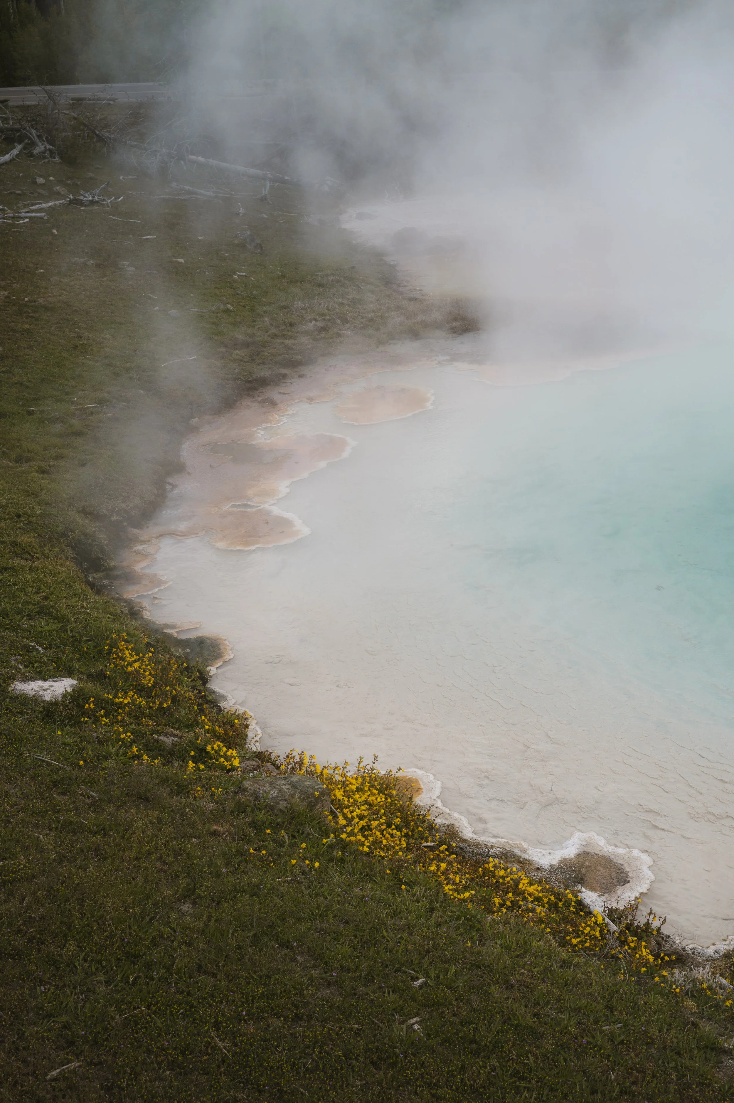 Hot Springs 2026