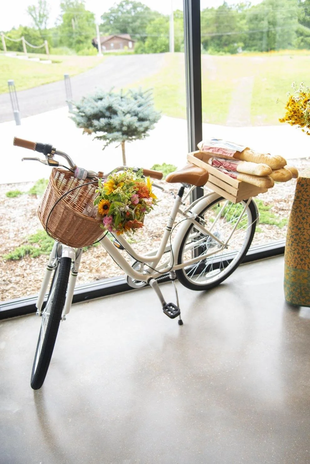 St-Louis-Passport-bicycle.jpg