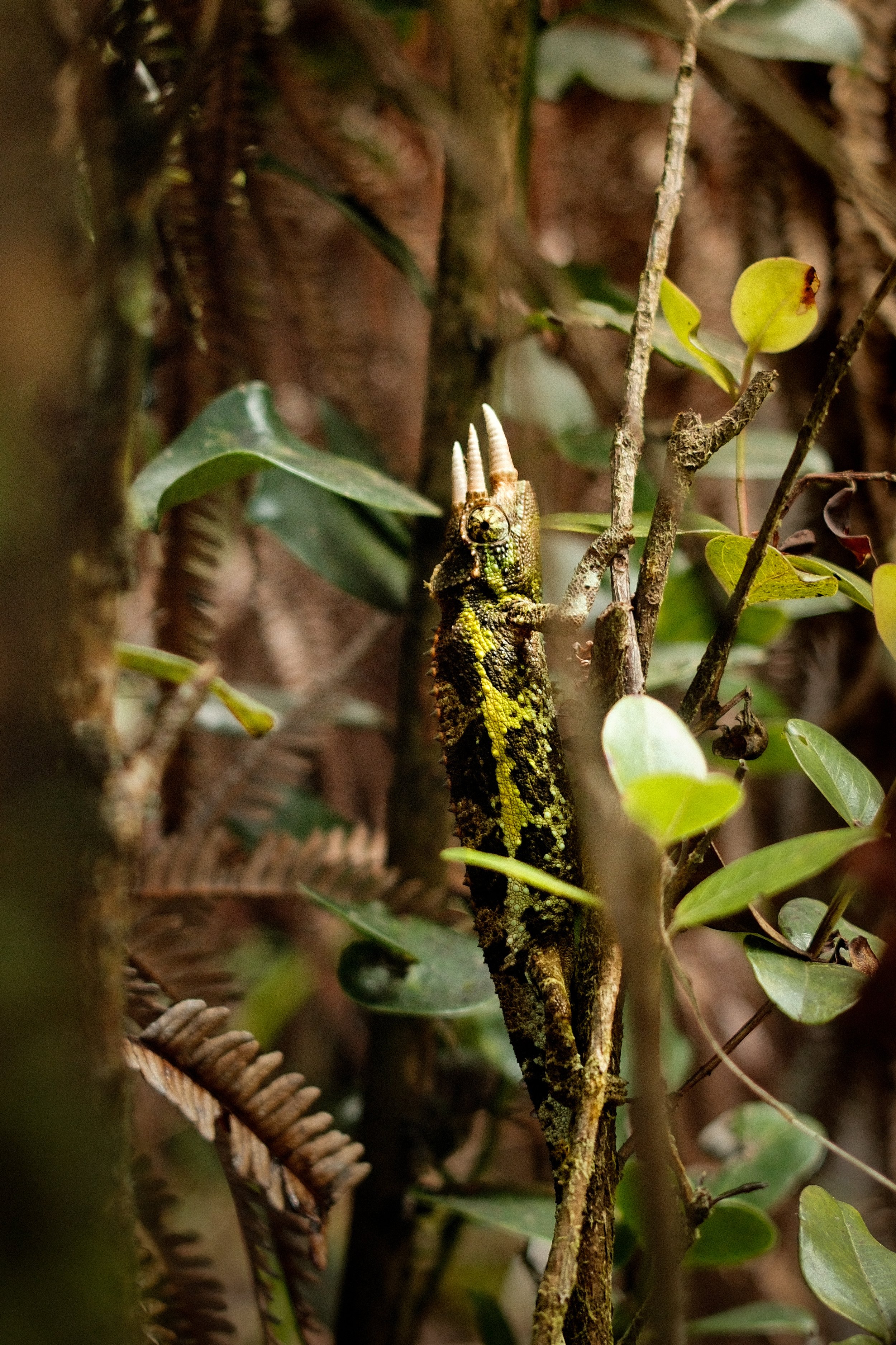 DSCF8598.jpg