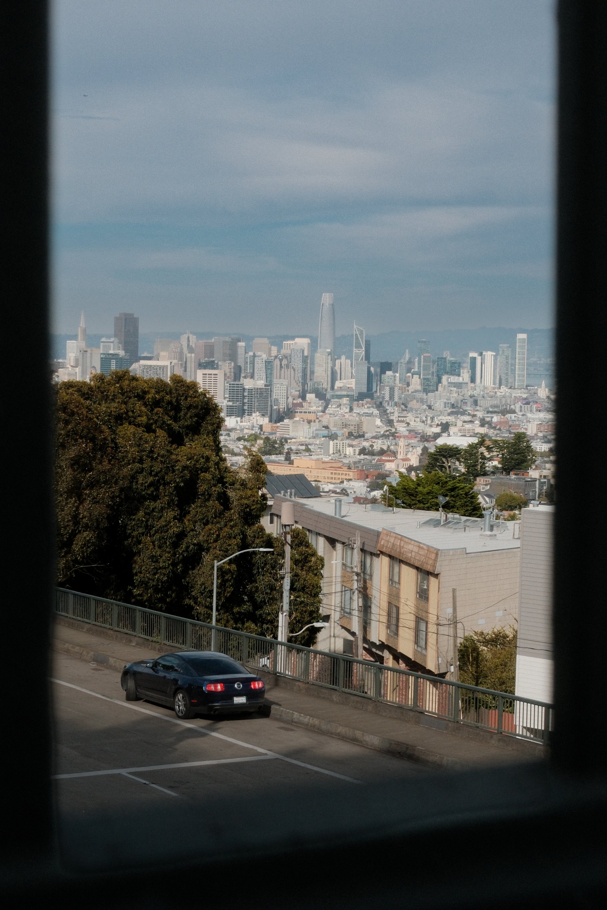 DSCF8173.jpg