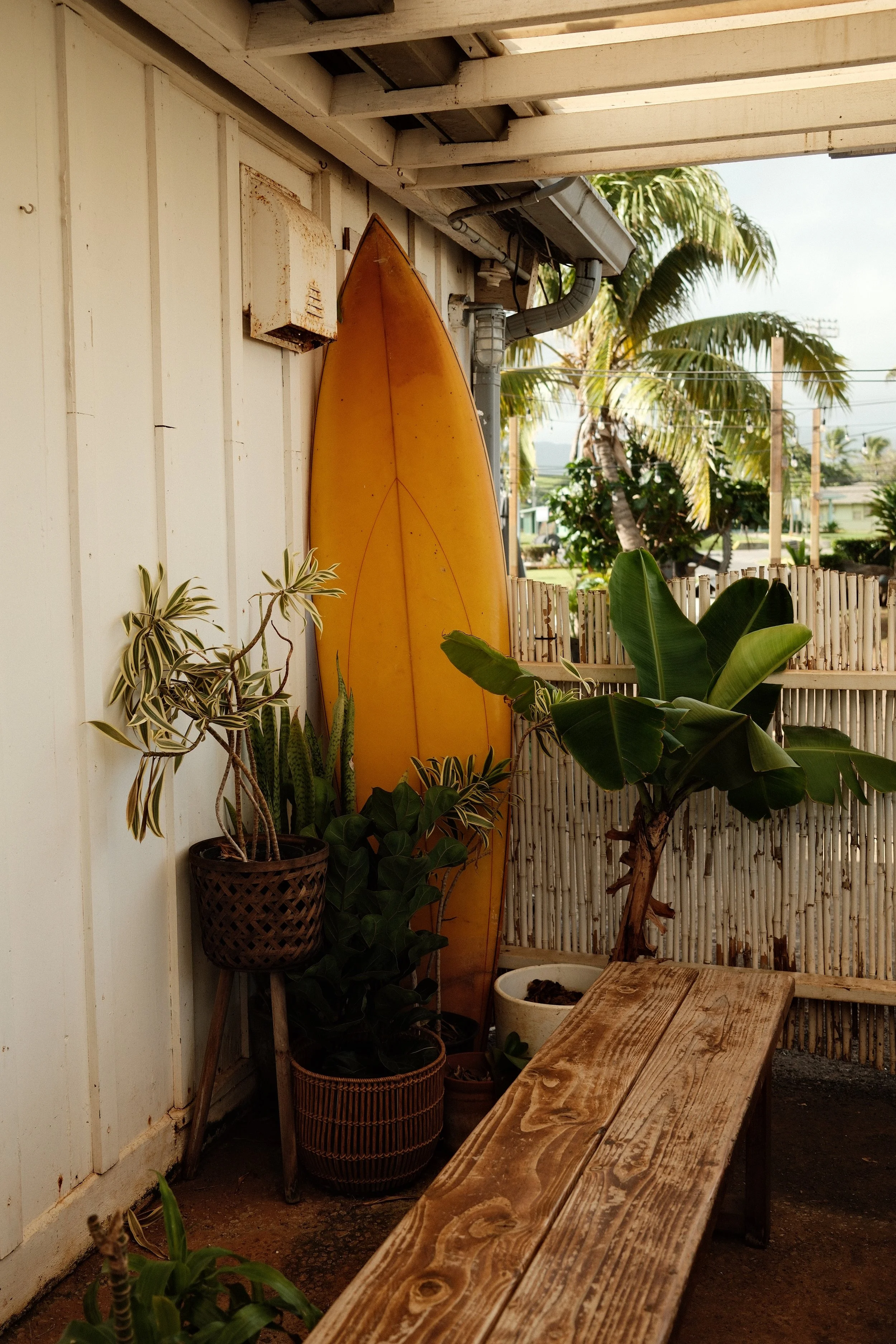 DSCF8320.jpg
